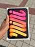 Apple/苹果 iPad mini (A17 Pro) 8.3英寸 平板电脑(256G WLAN版/mini7/MXND3CH/A)星光色 实拍图