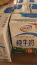 伊利【新鲜日期】严选牧场纯牛奶 250ml*16盒全脂牛奶 端午礼盒 4月产 实拍图