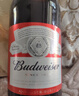 百威啤酒红百450mL 18罐【TOP】整箱装京东自营喜酒端午送礼 实拍图
