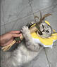 HOUYA猫薄荷木天蓼磨牙棒猫玩具逗猫棒猫咪宠物用品自嗨解闷 实拍图