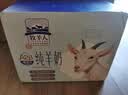 牧羊人A2β-酪蛋白纯羊奶200ml*12盒礼盒装高钙学生早餐奶送礼佳选端午 实拍图
