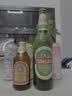 青岛啤酒（TsingTao）金质小棕金经典啤酒原麦汁浓度11°P便携出游整箱装 296mL 24瓶 实拍图