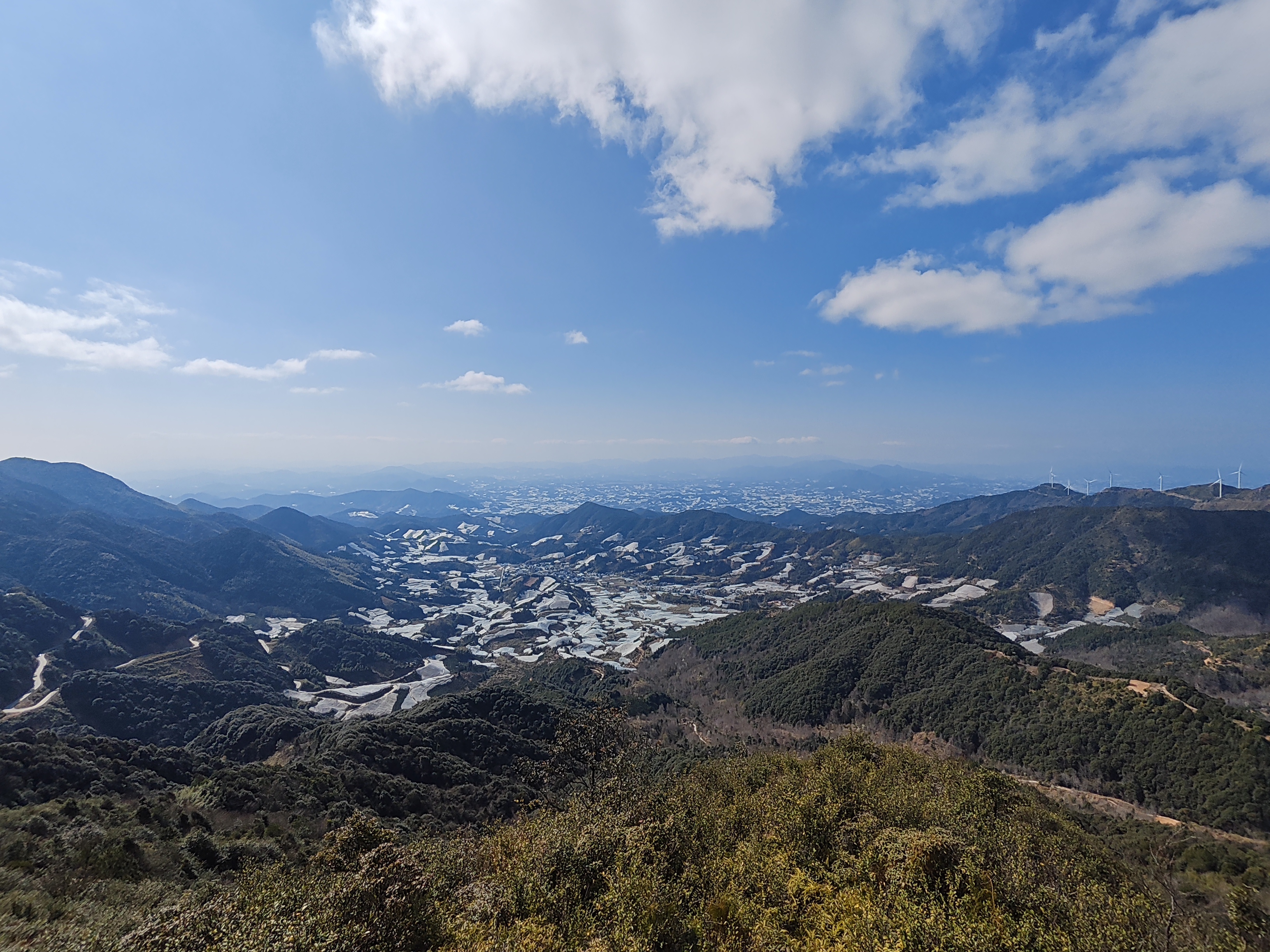 优衣库水洗宽松舒适工装九分裤男装休闲裤起居裤481572 481572/54绿色 S 实拍图