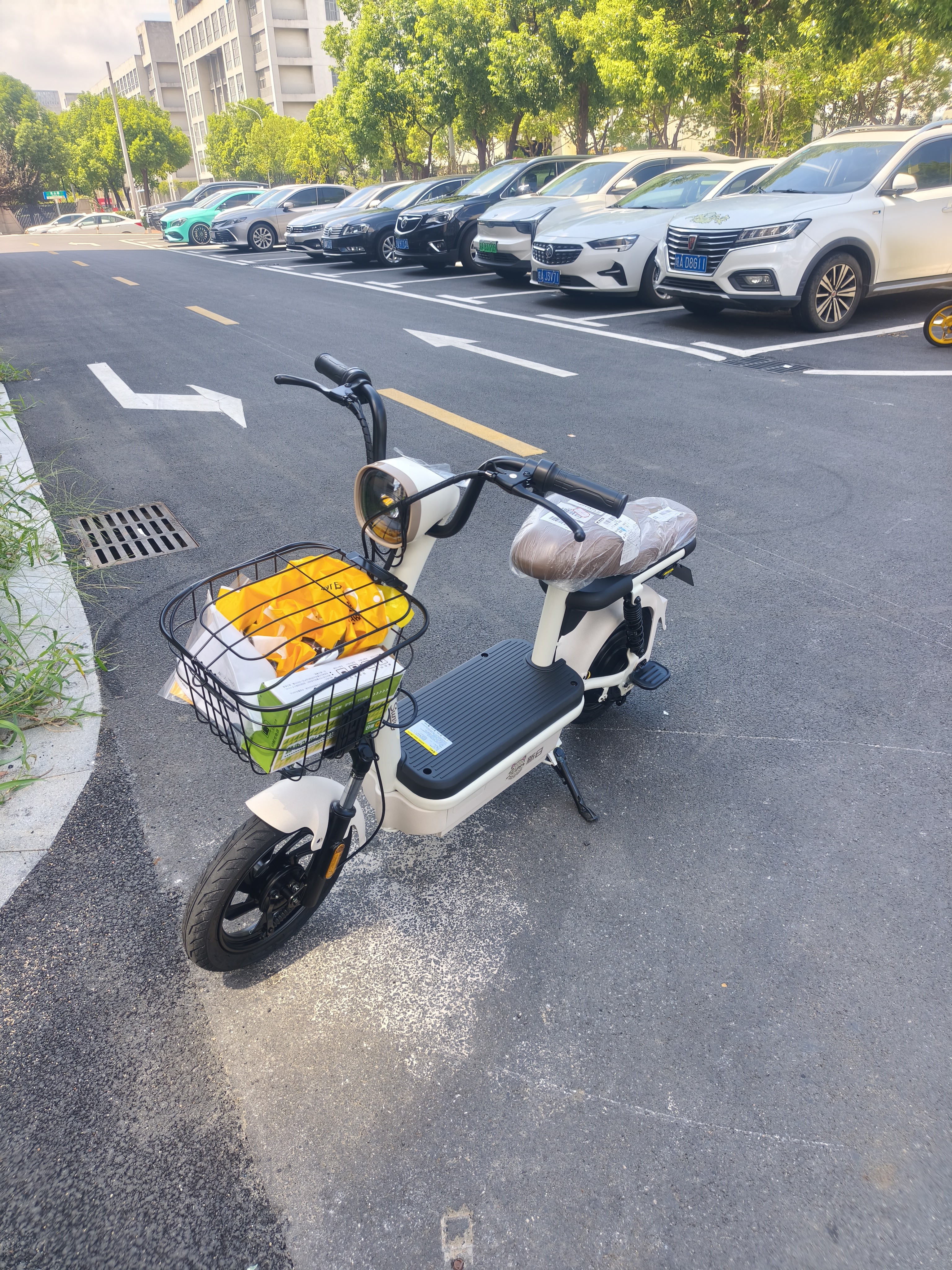 新日（Sunra）电动自行车 新国标小乐果京东自营电动车电动自行车长续航成人电瓶车家用代步电车白 实拍图