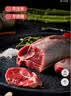 鲜京采国产山东黄牛 原切带芯牛腱子 净重3斤 生鲜牛肉 酱卤红烧 实拍图