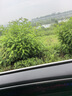 雷公王CR-87 50W大功率喇叭扩音器扬声器手持喊话器录音240秒宣传USB高音喇叭军绿色官方标配+2600毫安锂电池 实拍图