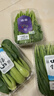 小汤山 菠菜 280g 基地直供新鲜蔬菜GAP认证 实拍图