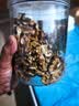 脆美人芝麻琥珀核桃仁500g罐装新货新疆烘焙孕妇熟休闲坚果干货 实拍图