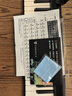特伦斯电子琴88键折叠琴成人儿童初学电钢键盘教学乐器V10便携钢琴 V10SE典雅黑（无延音踏板）+原装琴包 实拍图