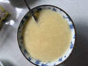 九阳免滤破壁机家用豆浆机小型全自动免煮榨汁米糊辅食机降噪预约流食机新款0.9L 【细腻免滤 2-3人】 实拍图