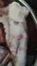 京东跑山猪 黑猪猪蹄2斤 带主筋带皮猪手猪脚烧烤卤猪蹄生鲜食材 实拍图