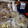 百奥（PARKOO） 工业除湿机大功率家用地下室干衣抽湿仓库装修干燥防潮吸湿器 70L/天 DCS702E 实拍图