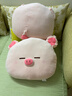 名创优品（MINISO）小猪B-BO系列-大脸靠枕玩具抱枕睡觉室内卧室办公室生日礼物 实拍图