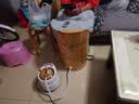 温友泡脚桶木桶过小腿过膝洗脚桶家用熏蒸药浴桶保温足浴桶蒸泡两用款 实拍图