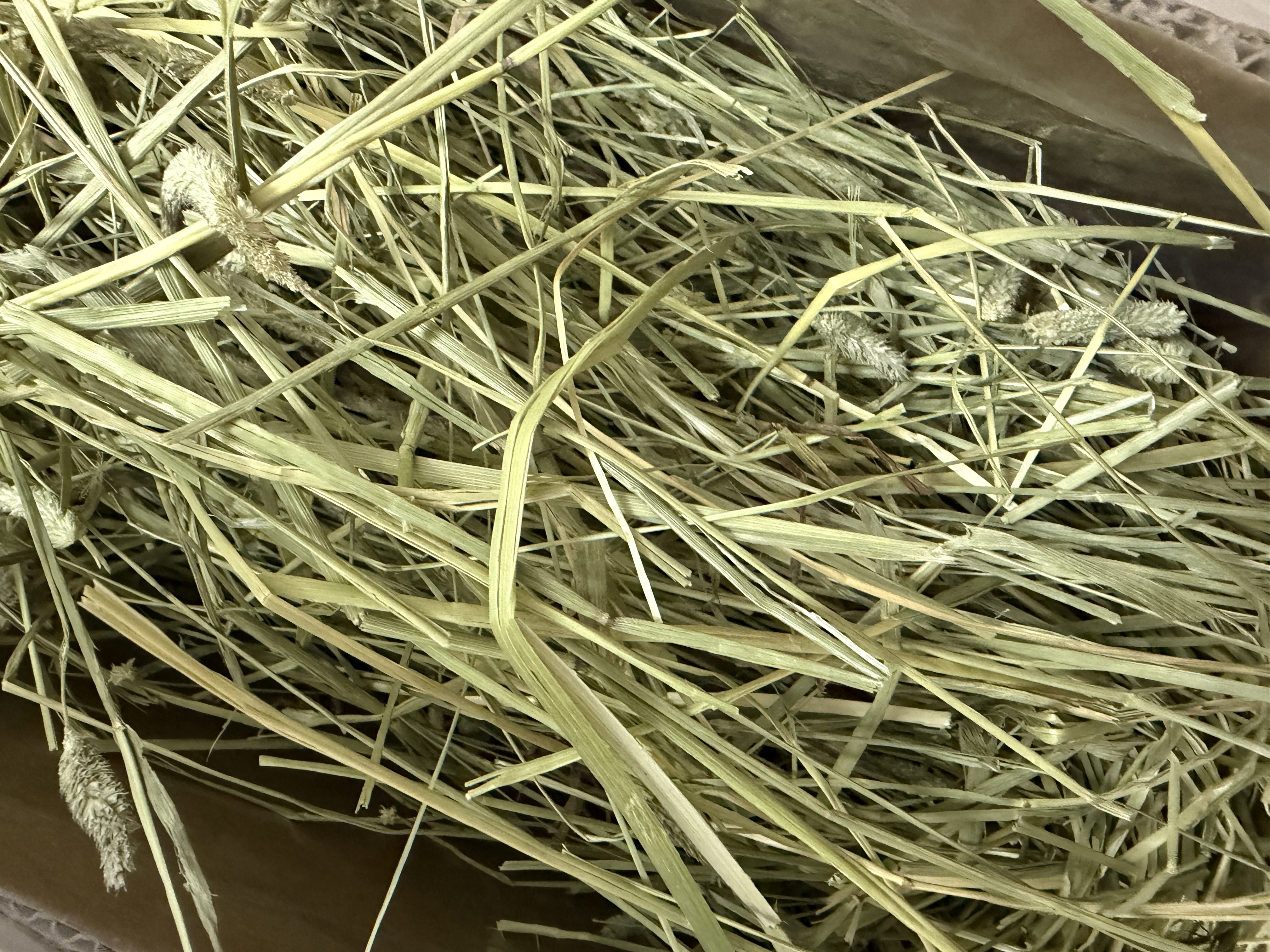 BCM进口一番美提500g*2包装 实拍图