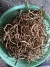 京喜加【26年新根】新鲜鱼腥草折耳根嫩根凉拌节节根现挖猪鼻孔带泥 贵州带泥折耳根2斤 净重1.7斤 畅销装 实拍图