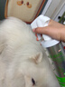 修灭盾跳蚤杀虫剂驱虫除虫药喷雾猫狗体外虱子蜱虫宠物草本喷剂500ml 实拍图