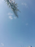 李宁元宝丨板鞋运动鞋男鞋低帮小白鞋夏季简约潮流轻质百搭休闲鞋 云雾白/浅灰蓝(339男款)-4 元宝 40 实拍图