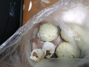 广州酒家鲜汁大肉包390g*2袋 12个 早餐半成品小笼包包子速食早茶面点生鲜 实拍图