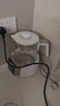 小白熊恒温水壶婴儿调奶器奶瓶冲泡奶粉热水壶温奶器1.2L烧水壶 0857 实拍图