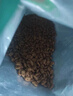 凯锐思银爪P28高蛋白全价猫粮亲和肠胃鲜肉冻干双拼成猫粮 【基础养胃|尝鲜】经典鱼肉味500g 实拍图