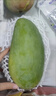 京觅云南凯特甜芒果 净重5斤单果400g+ 新鲜当季水果生鲜 源头直发 实拍图