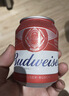 百威啤酒mini红罐淡色拉格255ml*24小罐整箱装京东自营喜酒端午送礼 实拍图