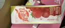 蒙牛真果粒花果奶昔牡丹荔枝风味牛奶饮品230g*10瓶 荔枝果汁端午礼盒 实拍图