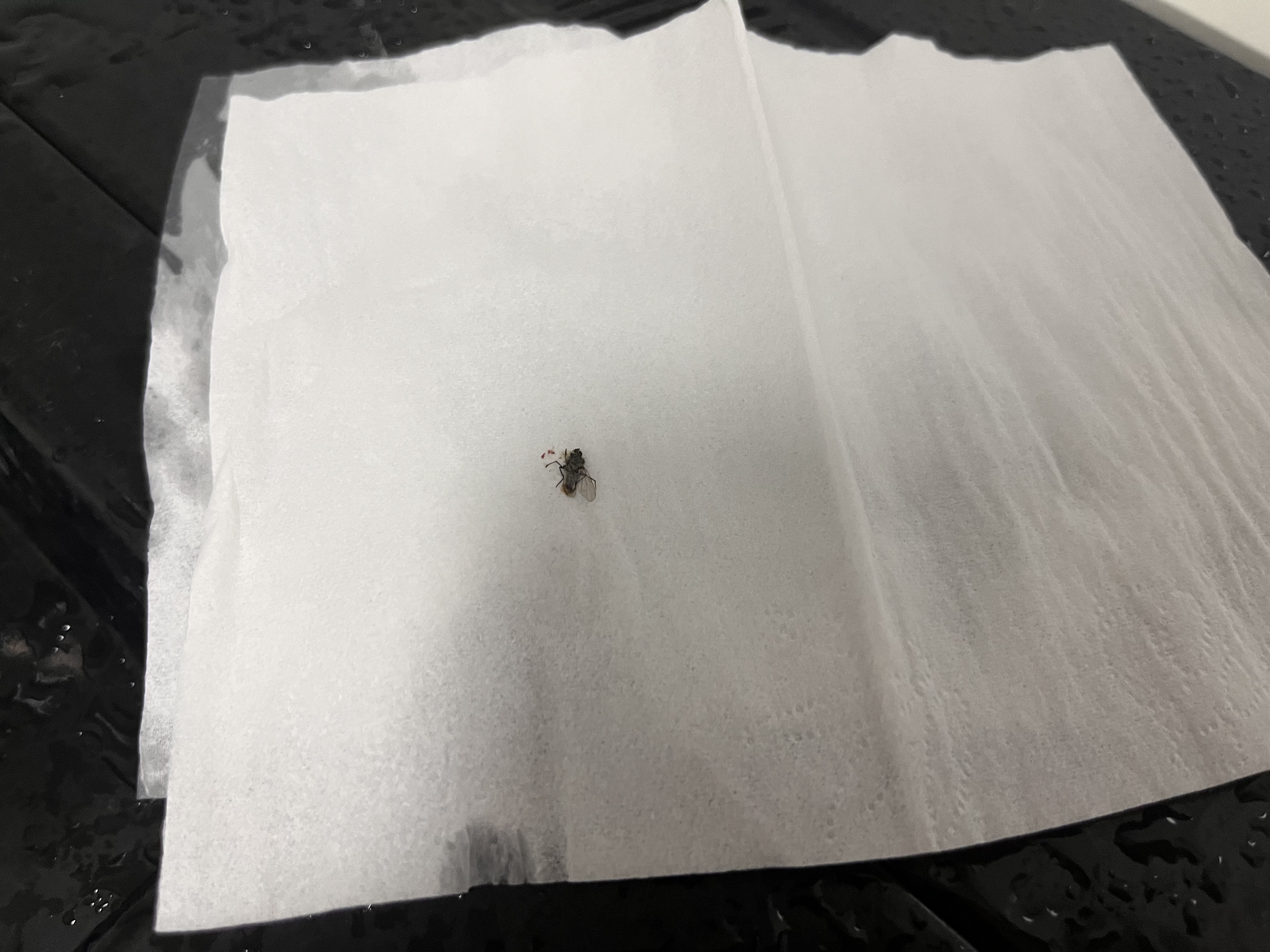 快活林悬挂式抽纸纸巾整箱商用大包加厚卫生纸厕纸餐巾纸酒店餐饮饭店用 3层 1350张*1提 450抽-薄款抽数多 6提【175*130mm】 实拍图