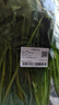 大菠菜300g 实拍图