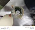BLACK BABY宝宝辅食机婴儿打泥机蒸煮搅拌一体多功能破壁料理机12叶单杯单刀 实拍图