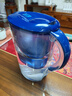 碧然德（BRITA） 家用滤水壶 净水壶滤芯 Maxtra 多效滤芯 6枚装 实拍图