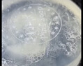 DHC橄榄蜂蜜皂90g 洁面皂清洁洗脸皂 绵密泡沫清洁男女 实拍图
