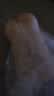 仙境（WonderLand）桥本有菜真人倒模私处1:1倒膜飞机杯仿硅胶阴道用品男生发泄名器 实拍图