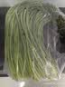 京鲜生山东红帽蒜苔 净重4.5斤 新鲜饱满粗细适中 源头直发包邮 实拍图