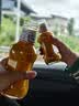 慧华圣果新疆阿勒泰大果有机沙棘果汁250ml鲜果沙棘含量50%饮品直饮沙棘汁 （沙棘果汁含量50%）250ml*10瓶 实拍图