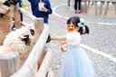 G.duck小黄鸭艾莎公主裙女童裙子夏季蝴蝶翅膀裙儿童礼服女宝宝披风纱裙 爱莎公主裙蓝色裙子+披风 100 （建议身高90cm 3-4岁）cm 实拍图