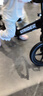 STRIDER儿童平衡车1-3-6岁幼儿2至5岁宝宝滑步车12寸竞技自行车Pro金属紫 实拍图