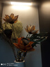 爱满（AIMAN）莲蓬干花花束莲花荷花真花禅意风干中式插花客厅装饰摆件招财 组合9（不带瓶） 实拍图