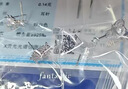 春浅耳钉纯银女士耳环生日礼物送女友老婆2026新款一周耳饰礼盒高级感 实拍图