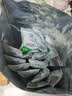 伊利纯牛奶粉320g 100%生牛乳 高钙高蛋白 全家奶粉 16条独立包装 纯牛奶粉320g 实拍图