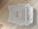 好奇（Huggies）铂金装小桃裤成长裤XXL74片(15kg以上)尿不湿【透爽散热】 实拍图