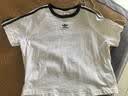 阿迪达斯（adidas）三叶草 3S CALI TEE SS 短袖 JC8704 L 实拍图