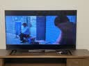 TCL雷鸟电视【价保618】 50雀5 50英寸 144Hz高刷 1.5+32GB内存  平板电视50F295C-JN 实拍图