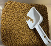 皇家幼猫奶糕 幼猫猫粮 BK34 通用粮 1-4月 2KG 实拍图