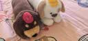 名创优品（MINISO）吉哩哩长条抱枕小狗陪伴玩偶伴睡公仔毛绒玩具靠枕创意礼物送男生 实拍图