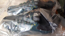 迪卡侬（DECATHLON）徒步鞋户外登山鞋防水防滑运动鞋透气徒步鞋子ODS MH100低帮 男款-墨绿色 43 实拍图