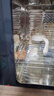Baby Color紫外线奶瓶消毒柜婴儿 奶瓶消毒烘干一体机 【经典款】 22L 飞利浦双灯管 +全钢内腔 实拍图