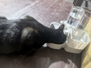 licheers狗狗饮水器悬挂式宠物自动喂食器狗笼子喝水器猫咪饮水机喝水食盘 实拍图
