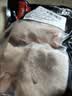 双汇猪小蹄膀净重3斤冷冻猪蹄膀猪肘子切块猪肉酱卤蹄髈 实拍图